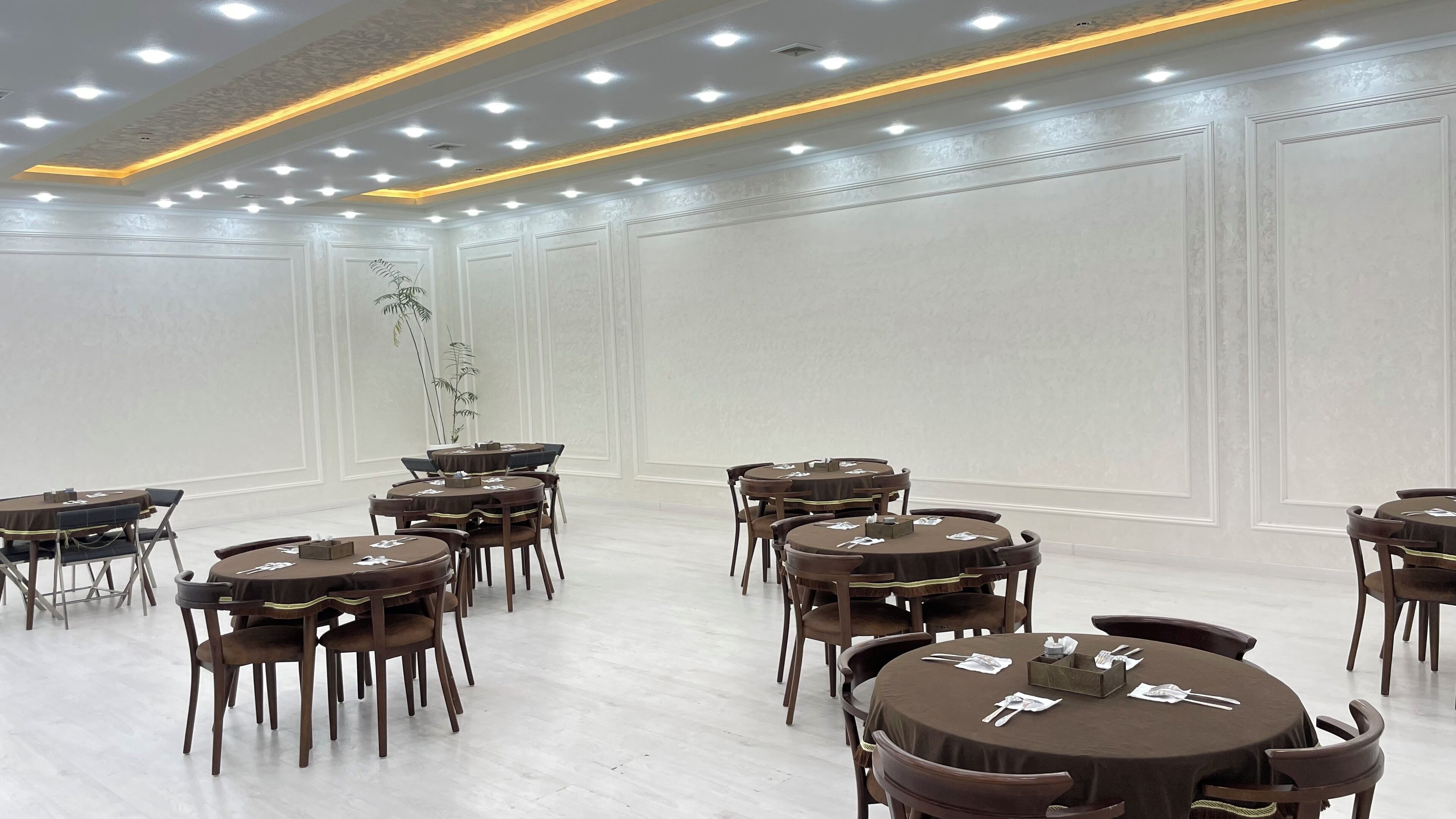 A conference room with multiple round tables and chairs, recessed lighting, and a decorative plant.