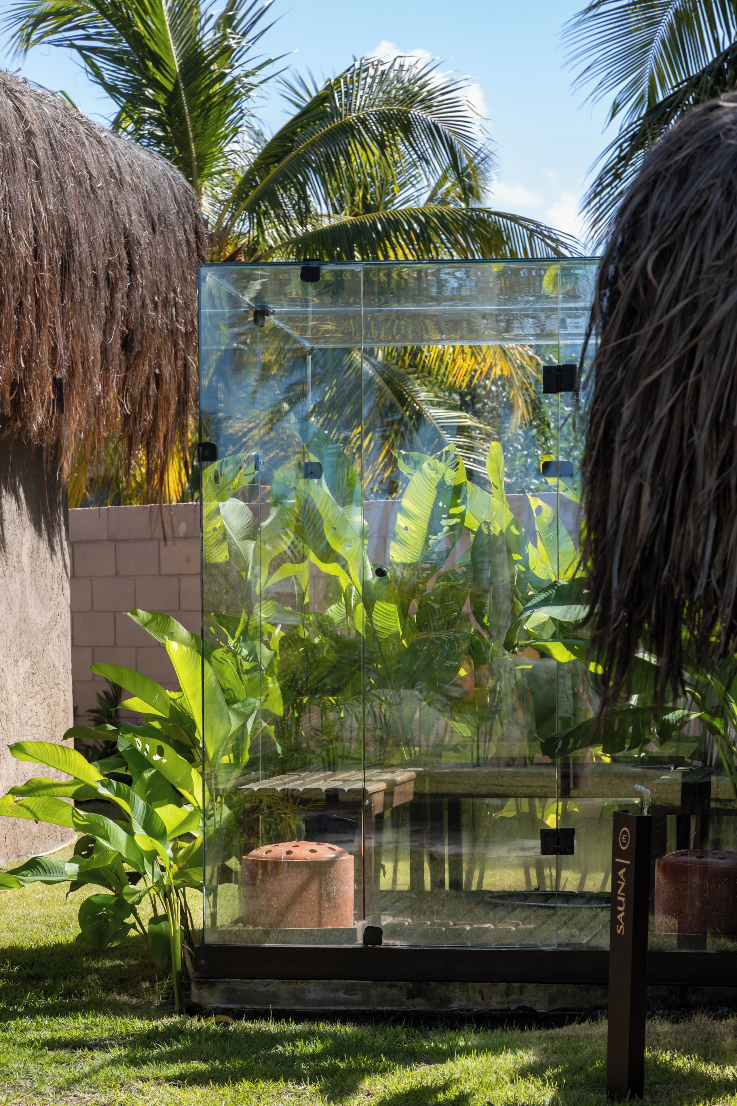 A glass enclosure with tropical plants, a thatched structure, and a stone wall.