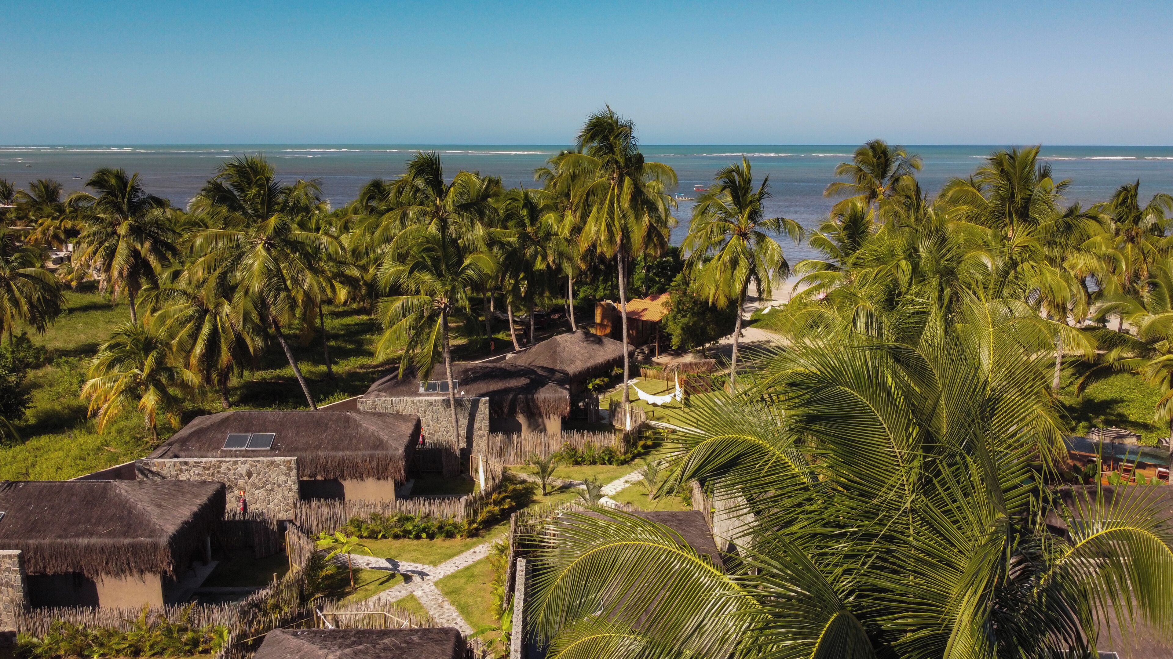 A tropical resort with thatched-roof buildings, palm trees, and a view of the ocean.