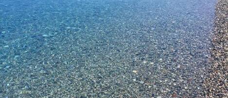 Playa en los alrededores