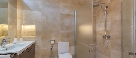 Shower, hair dryer, bidet, towels