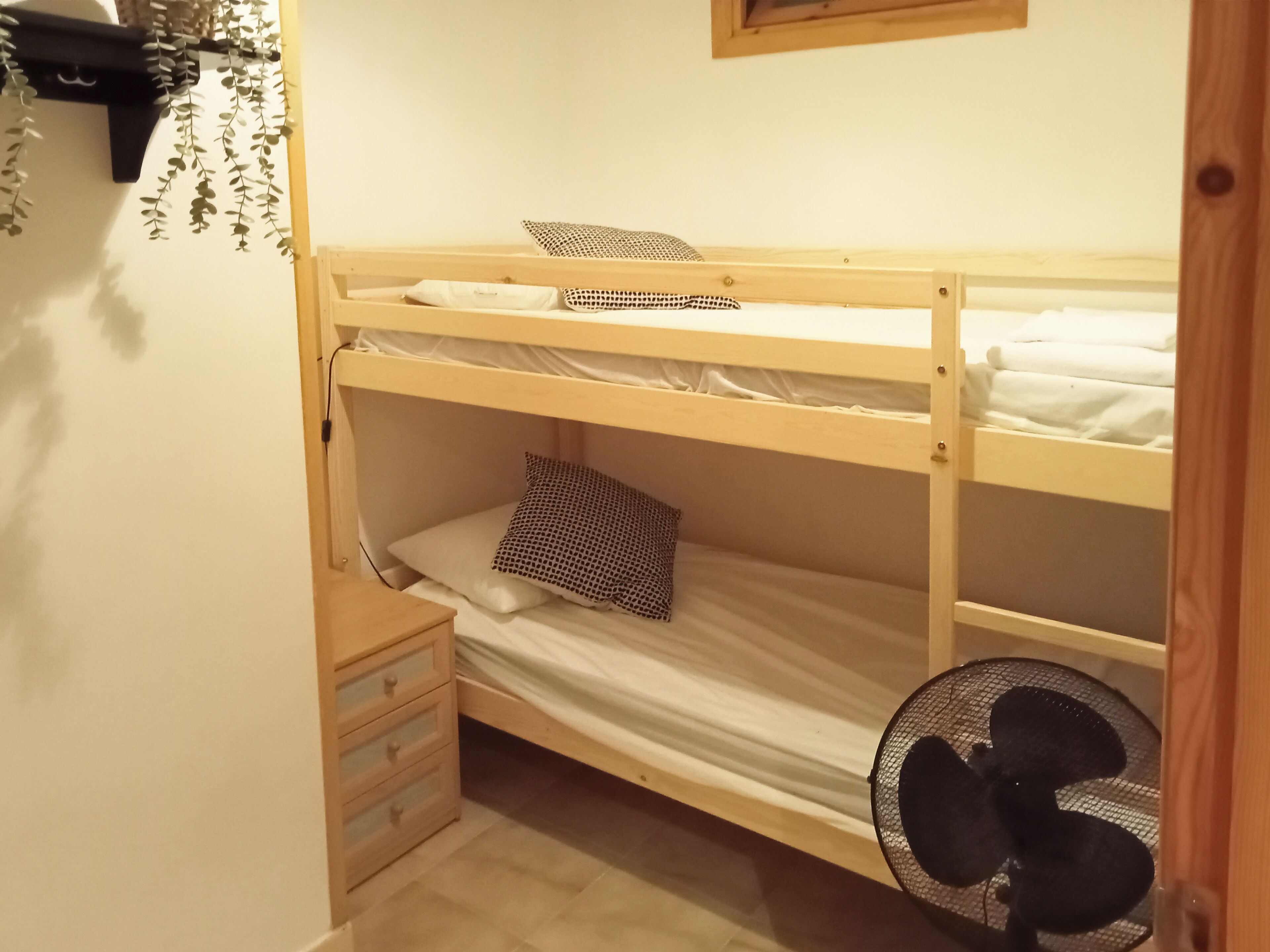 Una cama litera con un ventilador, un pequeño aparador de madera y una planta colgante.