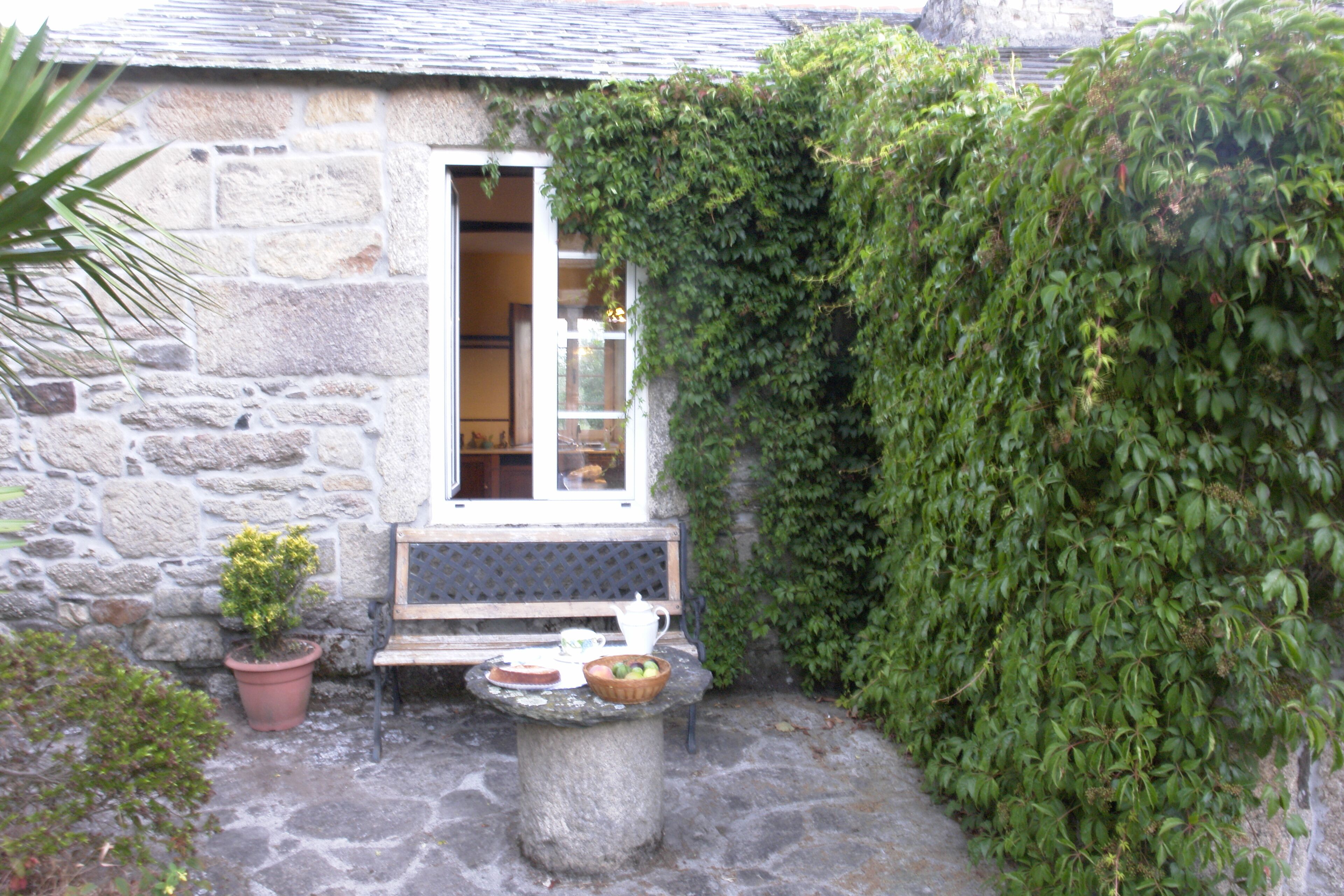 テラス / パティオ