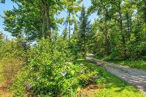 A gravel path winding through a forested area with dense greenery and trees. - Cozy 'rivershire Retreat Cabin' Near Traverse City (Traverse City)