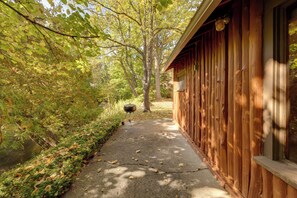 公寓 (0 Bedroom) | 住宿內部