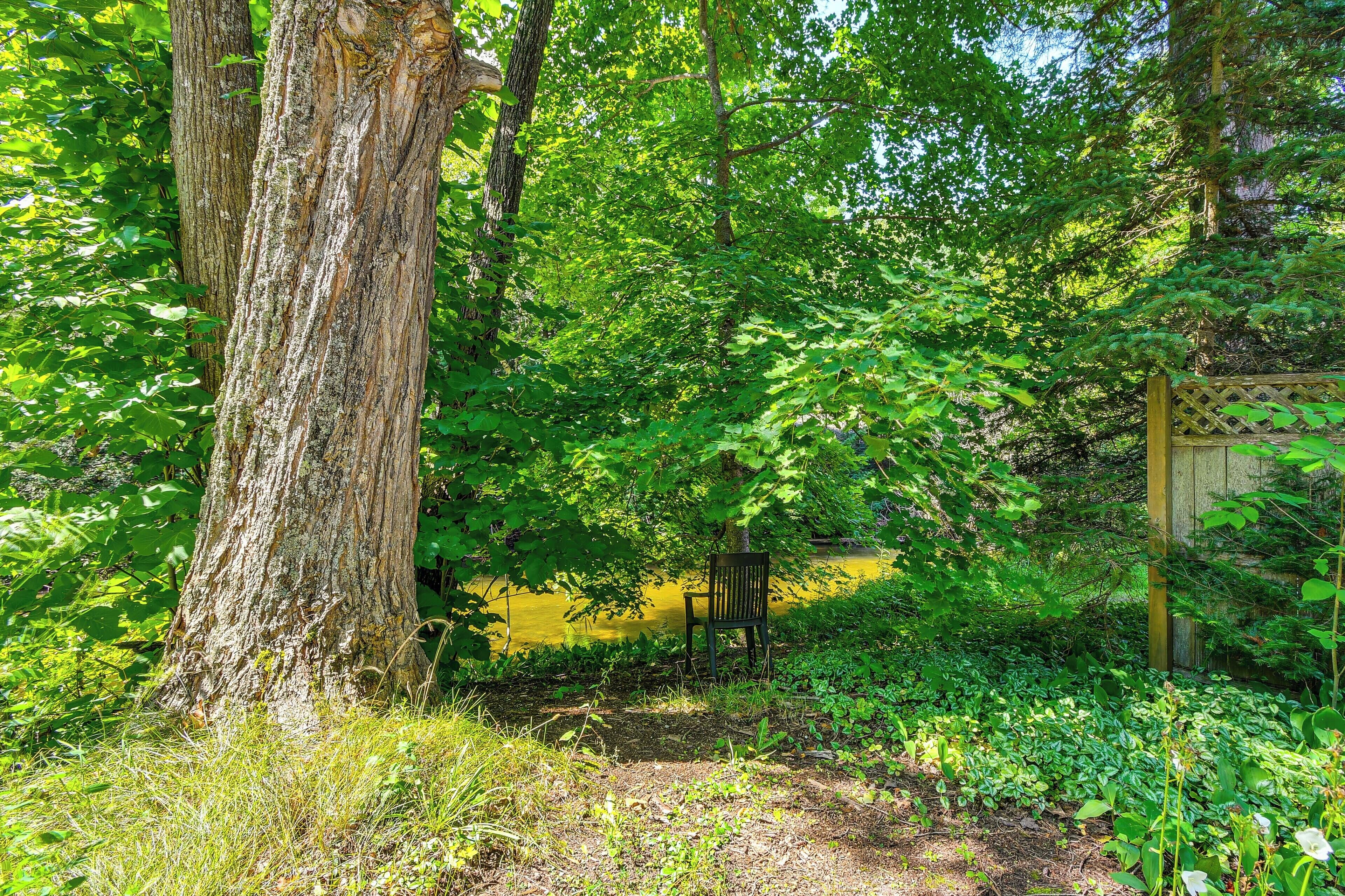 Un espace extérieur naturel agrémenté d’un banc en bois, d’un feuillage dense et d’une clôture en bois.