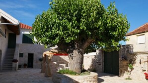 Ein Innenhof mit einem großen Baum, Steinmauern und einem Ziegeldach.