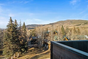 Property grounds - New Listing! Rooftop Haven | Hot Tub, BBQ & Views of Buffalo Mountain (Silverthorne)