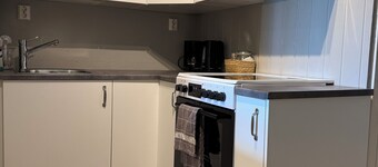 Delightful 1-bedroom apartment in central Notodden