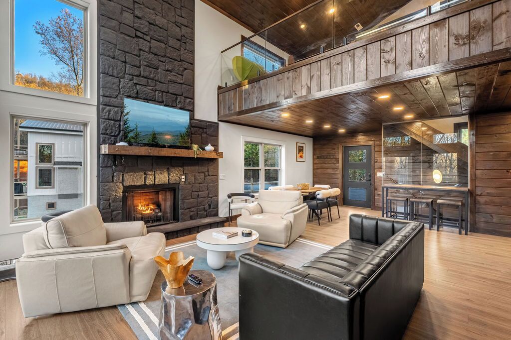 Télévision, cheminée, jeux vidéo, espaces bureaux