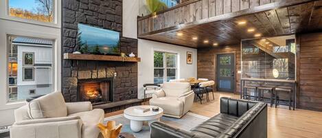 Télévision, cheminée, jeux vidéo, espaces bureaux