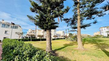 Apartamento | 1 dormitorio