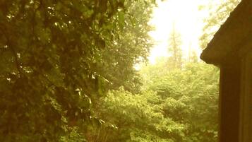 Servei de restauració a l'aire lliure