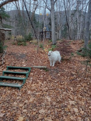 Jardines del alojamiento