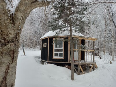 100% Autonomous Octagonal Micro House