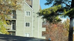 A road with three bears walking. - Romantic Smoky Mountain Escape-Hot tub-Pool-fireplace (Gatlinburg)