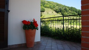 A balcony with a potted plant and a view of a green landscape. - Detached family home in Piverone, near Lake Viverone (Piverone)