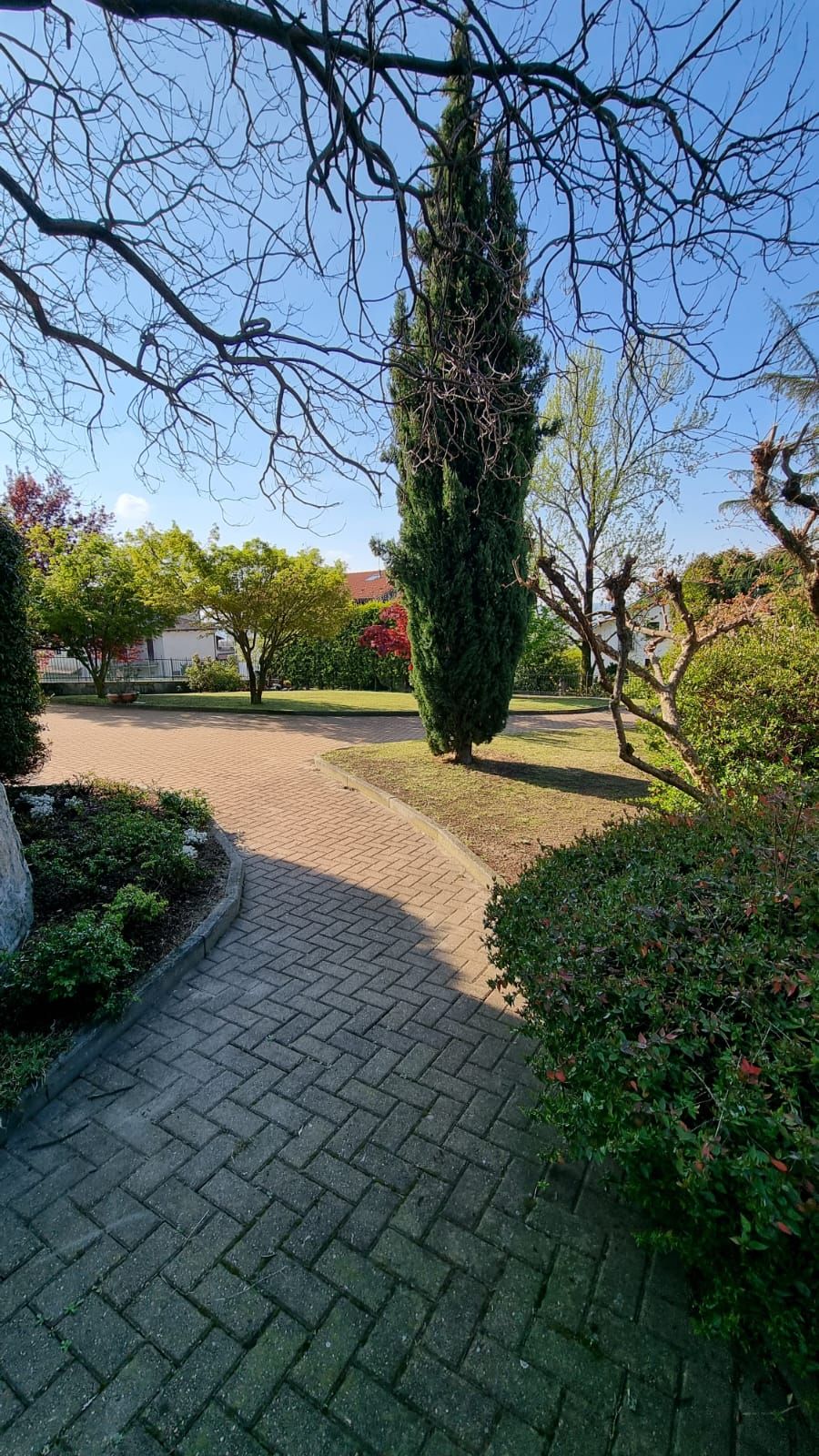 Un chemin pavé serpente à travers un jardin aménagé, où l’on trouve une grande variété d’arbres et d’arbustes.