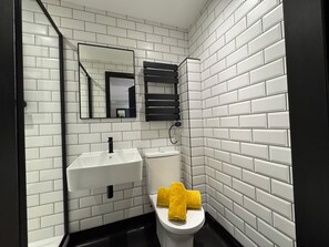 Shower, towels, toilet paper