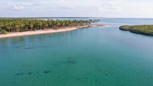 A coastal area with a sandy beach, palm trees, and clear turquoise water.