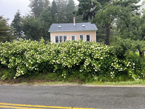 Cape Home overlooking Bucks Harbor and Pettigrew Point