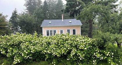 Cape Home overlooking Bucks Harbor and Pettigrew Point
