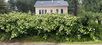 Cape Home overlooking Bucks Harbor and Pettigrew Point