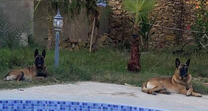 Villa with swimming pool in quiet countryside not overlooked