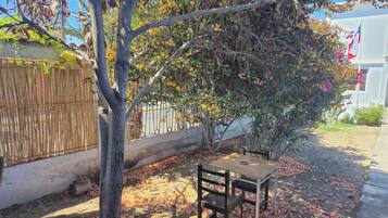 Vista dalla struttura