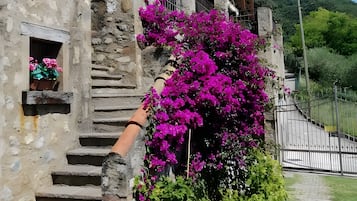 Overnatningsstedets område