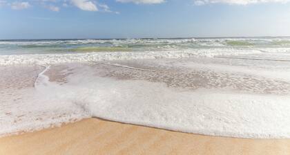 Ocean Breeze | Luxury w/Private Pool, Elevator + Ocean Views