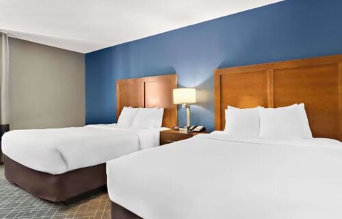 Pet-Friendly Hotel Stay Near Route 66 Raceway & Chicagoland Speedway