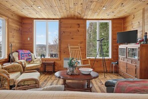 Televisio, takka, DVD-soitin, työhuone