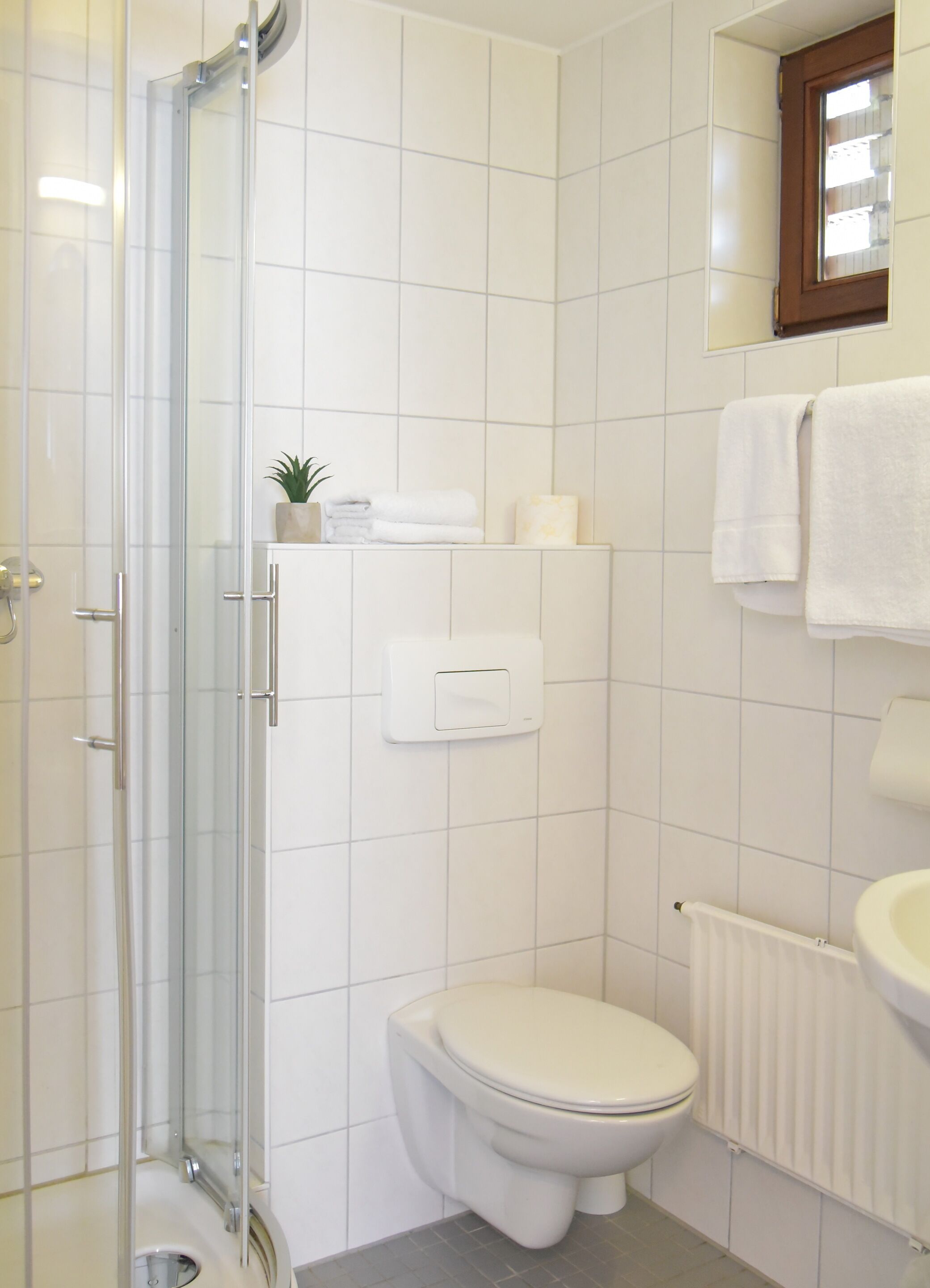 Une salle de bain comprenant des toilettes, une douche avec une porte en verre, un radiateur et une petite étagère avec des articles de toilette.