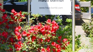 Uklassifisert bilde, 5 av 49, knapp