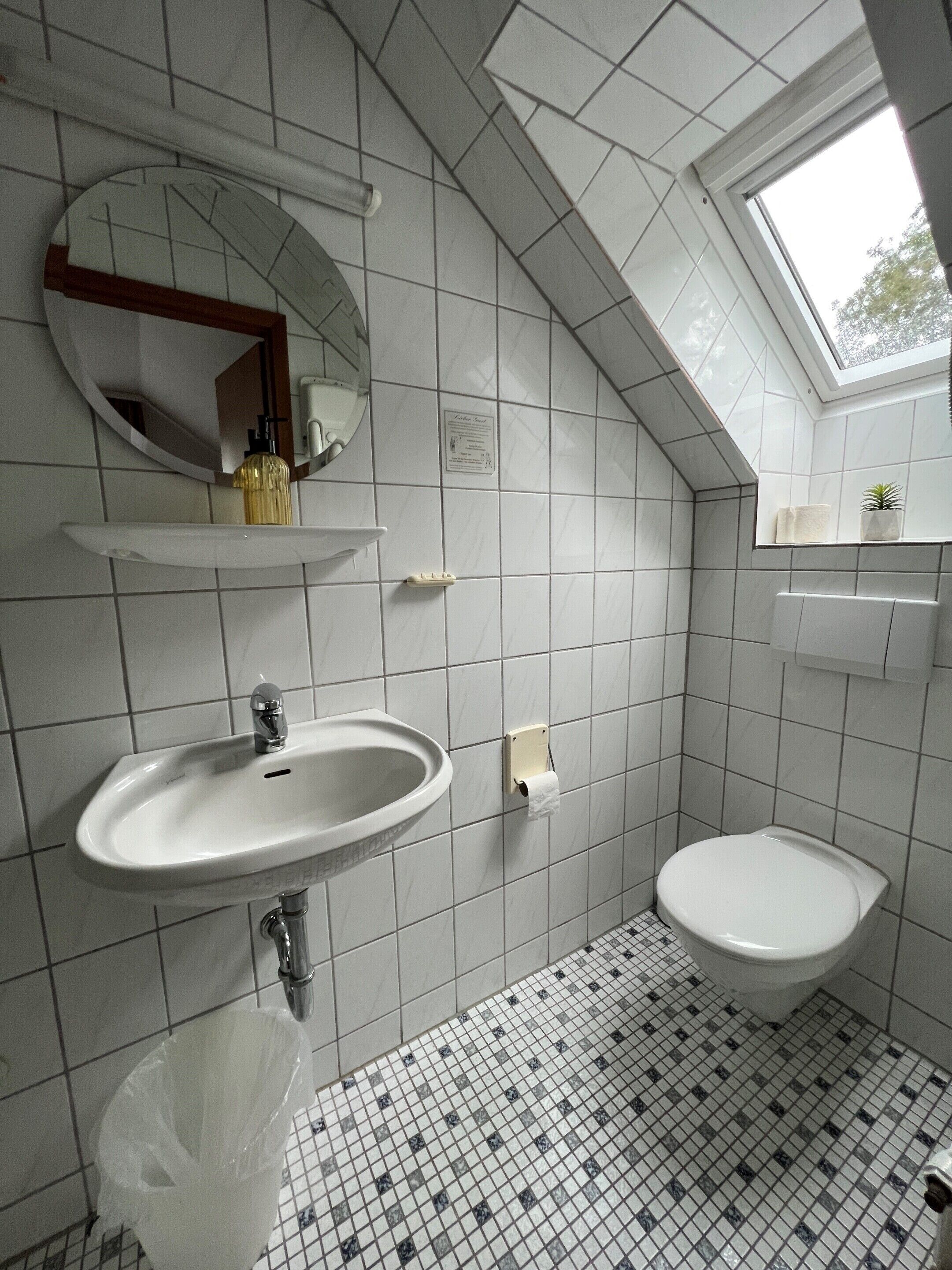 A bathroom with a sink, toilet, and mirror. There is a skylight above the toilet.