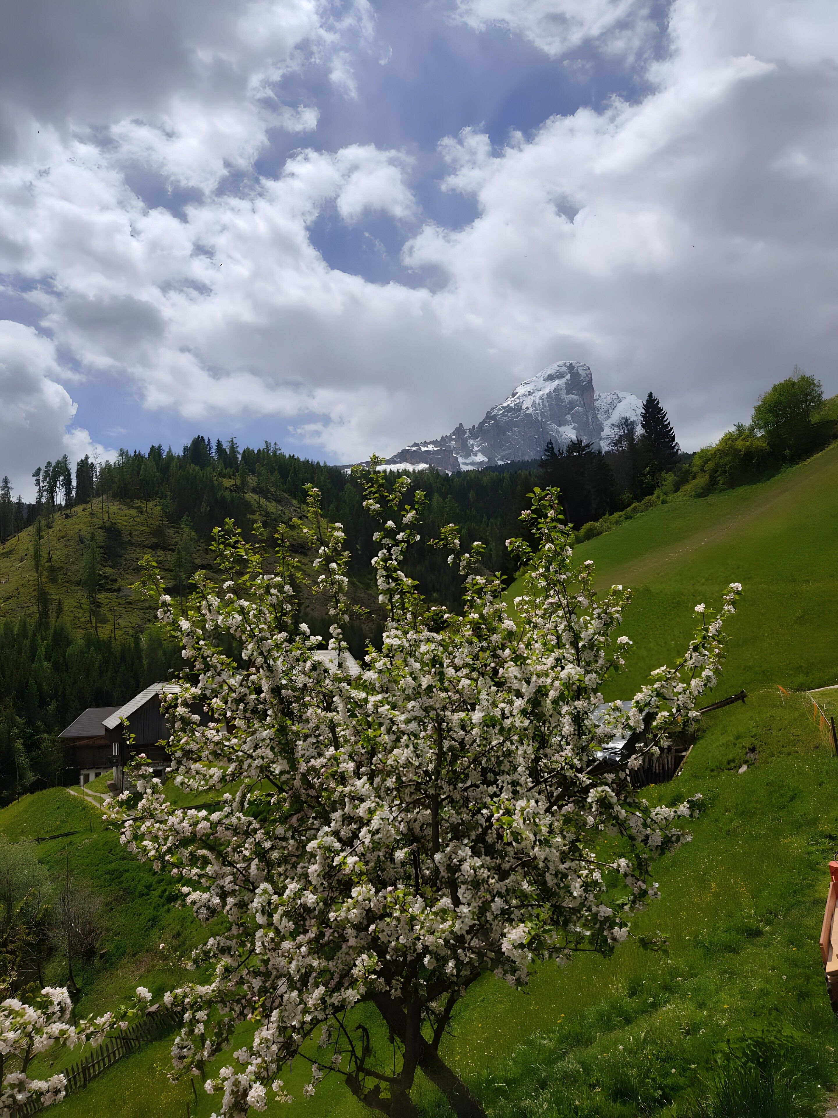 A house with a garden, a mountain in the background, and a cloudy sky.