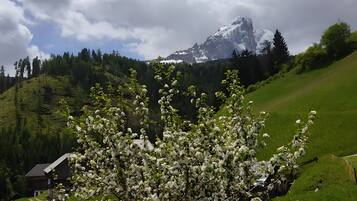 A house with a garden, a mountain in the background, and a cloudy sky.