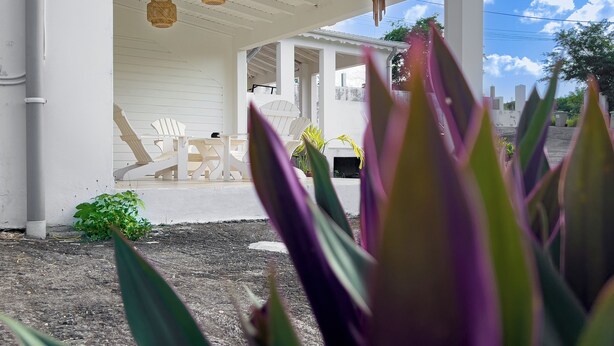 A covered outdoor seating area with white chairs and a table, surrounded by plants. - Habitation Yucca à 5 min de la plage (Le Moule)