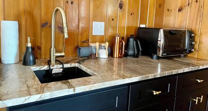 Mid Century Mod Oasis off the Greenway