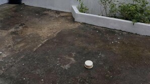 En betongfasad med en liten planteringslåda med växter, ett vitt, runt föremål på marken och en metallkonstruktion till vänster.