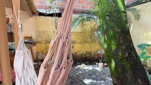 A hammock hanging from a wooden structure, a tree with moss, and a yellow wall in the background. - Coliving Granada (Envigado)