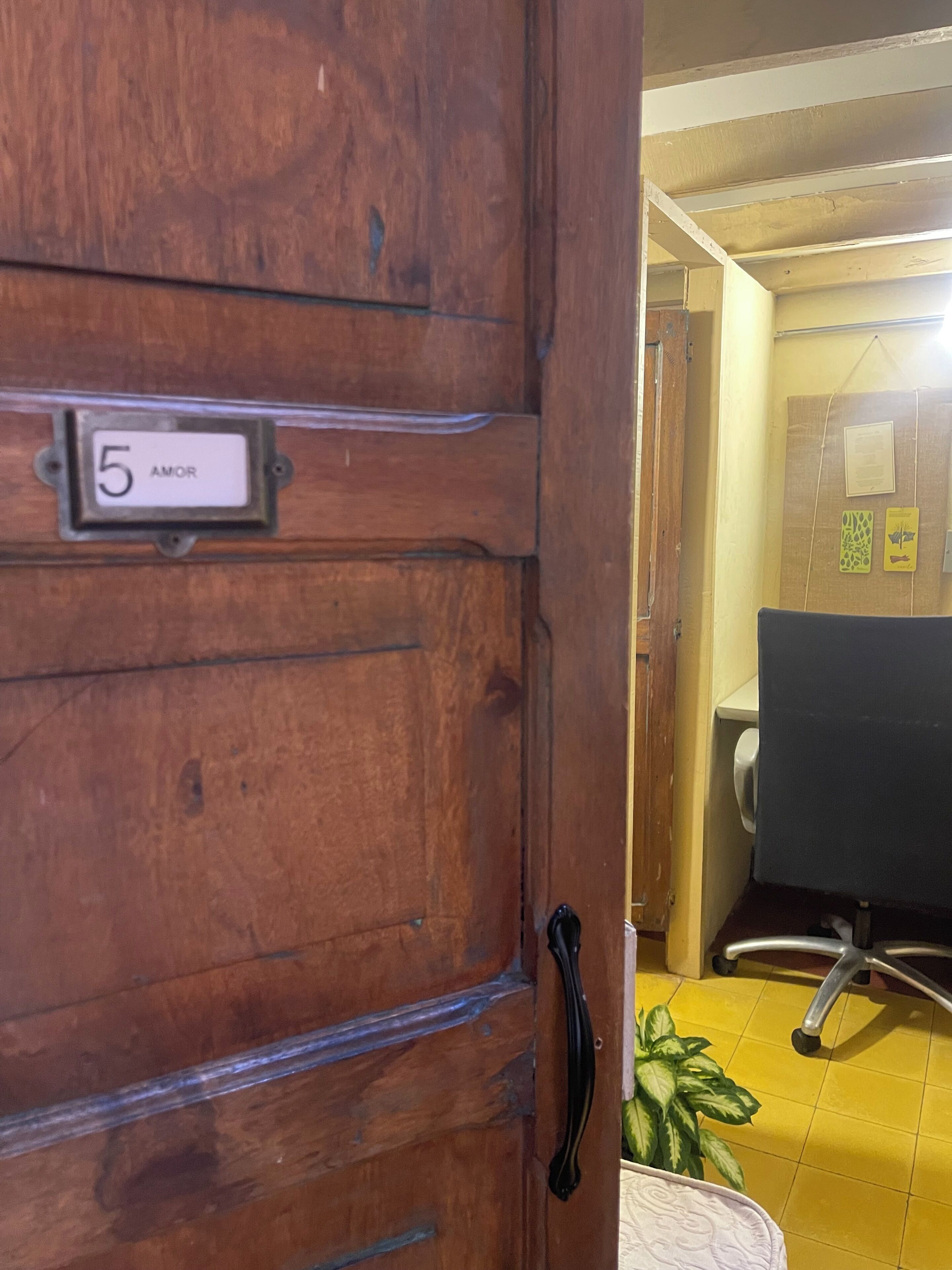 A wooden door with a number plate labeled "5 AMOR" and a black handle.