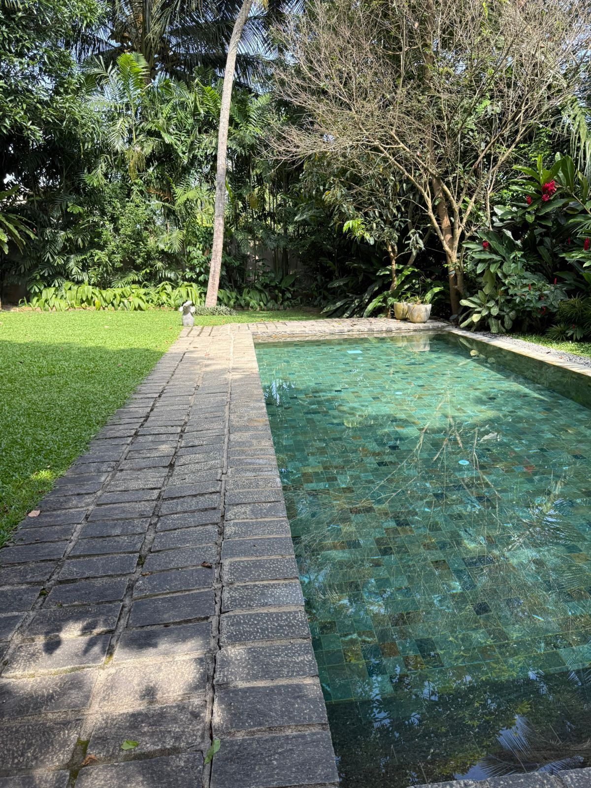 A clear swimming pool with a stone border, surrounded by lush greenery and trees.