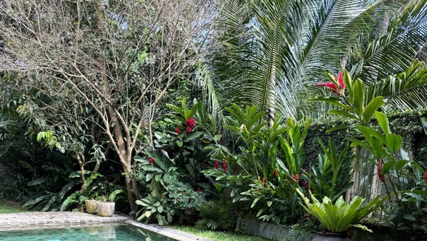 Una piscina cristalina con borde de azulejos, rodeada de abundante vegetación y diversas plantas.