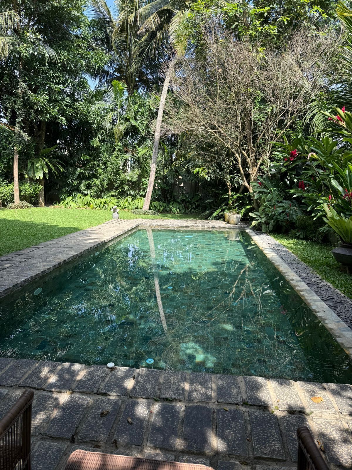 A rectangular swimming pool with clear water, surrounded by lush greenery and palm trees.