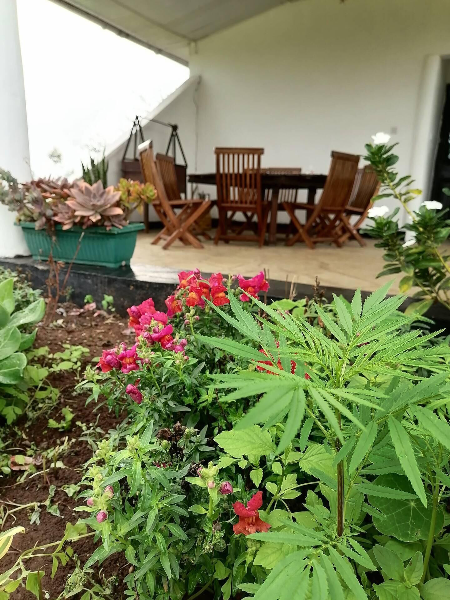 Restaurante al aire libre