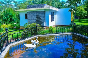 Property grounds - Ngong Hills garden cottages by organic farm - 2340 (Kiserian)