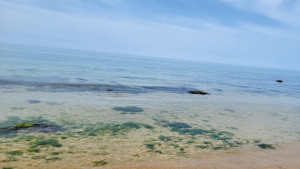 Ein Strand mit klarem, flachem Wasser, sichtbaren Felsen und Seetang.