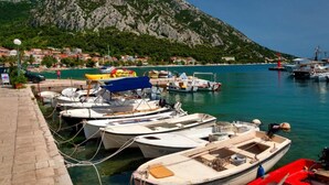 Un port de plaisance avec des bateaux amarrés, une montagne en arrière-plan et une ville côtière avec des maisons.